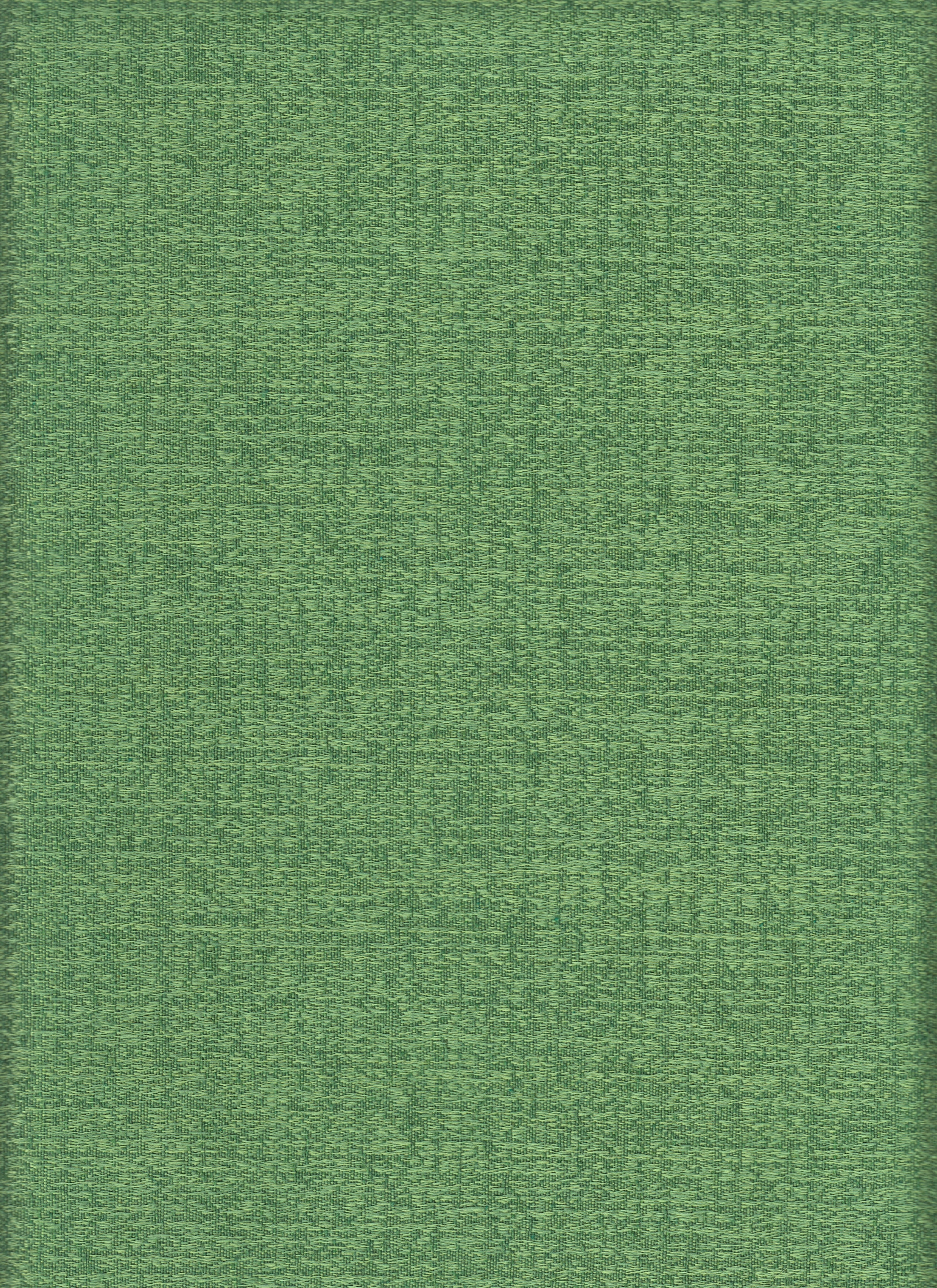 COVER | Salvadivano con PENISOLA - ARMOR verde